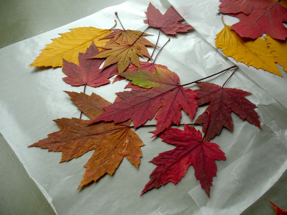 DIY Leaf Crafts | Photo credit: bluberryhillcrafting.com