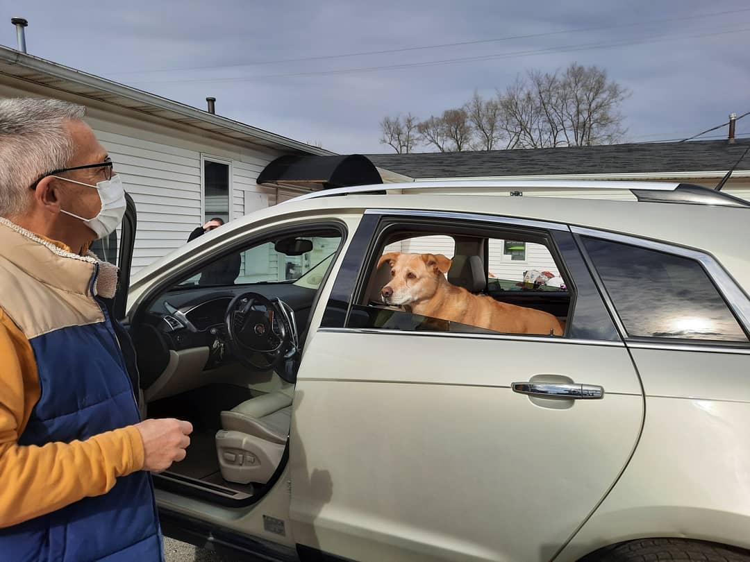 Fort Wayne Pet Food Pantry Volunteer Petting Dog in Car