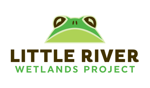 A Voice for the Good: Little River Wetlands Project