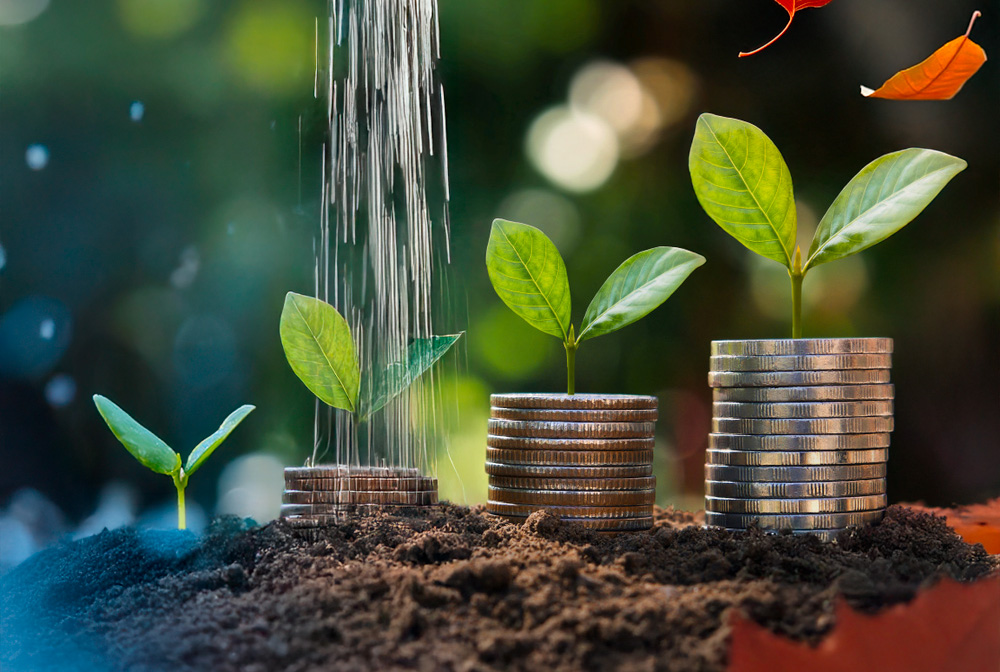 Stacks of coins growing through the seasons