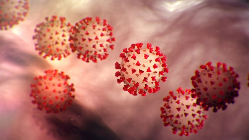 Image showing microscopic view of coronavirus.