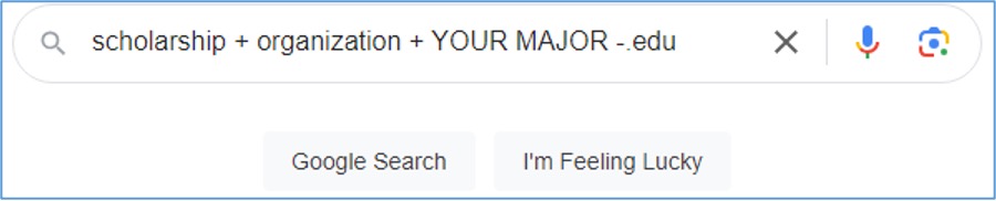 A screenshot of a search term for finding scholarships online.