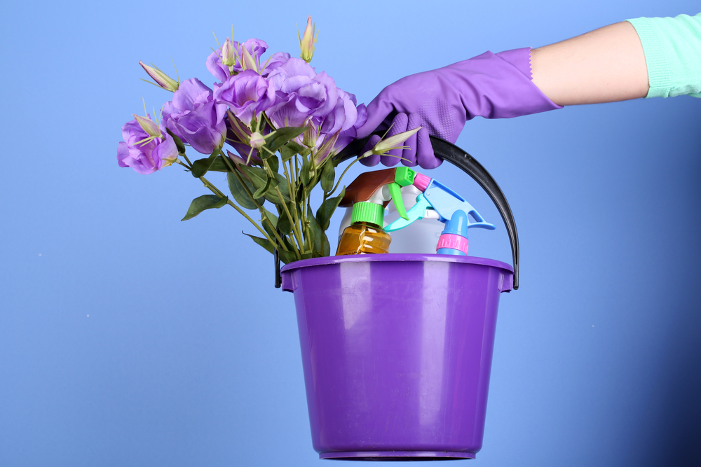 Green Spring Cleaning on a Budget | Image source: Shutterstock.com / Photographer: Africa Studio