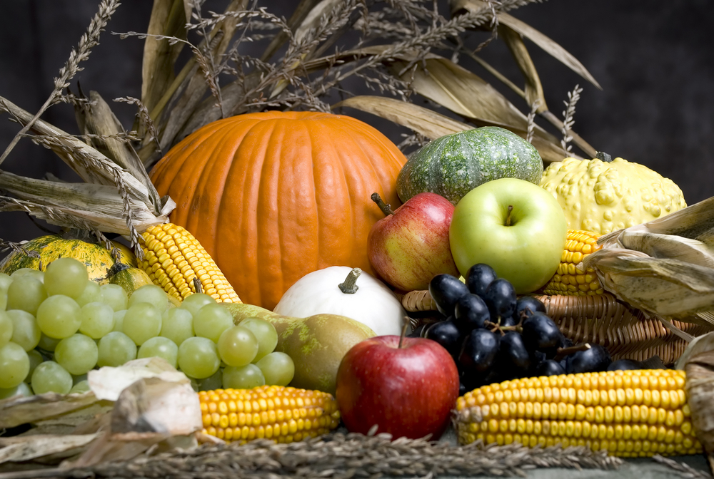 Fall Produce Recipes | Image source: Shutterstock.com / Photographer: Thomas M Perkins