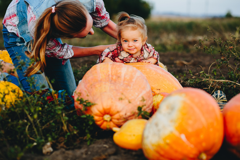 Mom and toddler in a pumpkin patch.