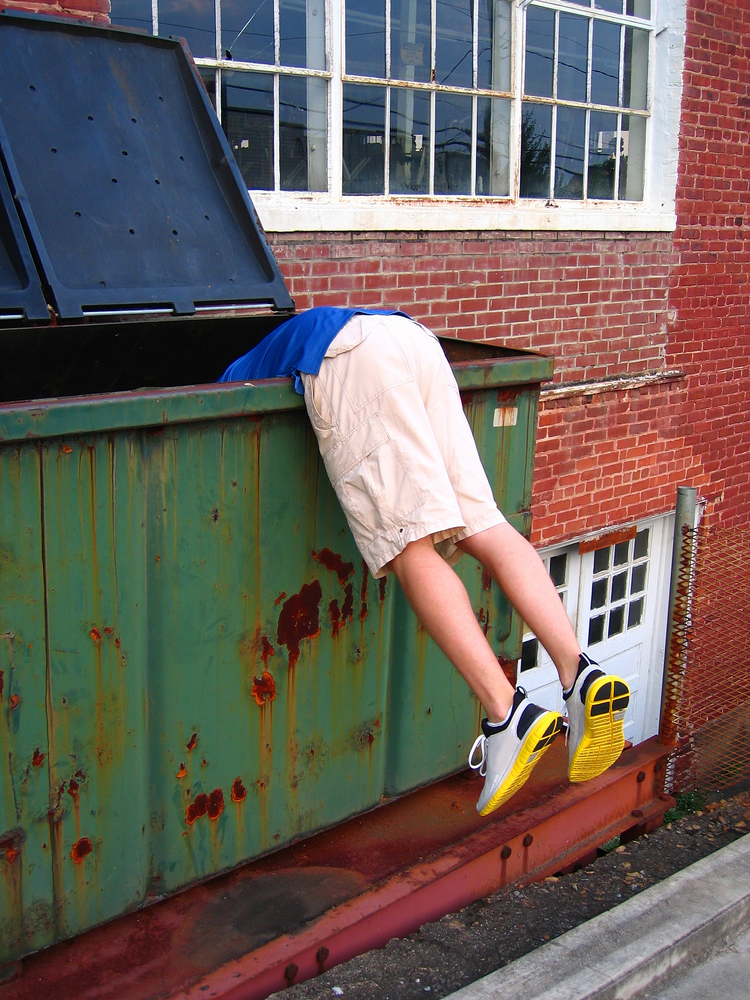 Dumpster Diving | Image source: Shutterstock.com / Photographer: Larry Powell