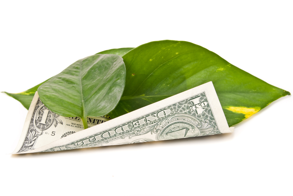 Go Green, Save Money | Image source: Shutterstock.com / Photographer: jcjgphotography