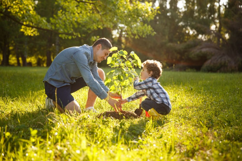 A father and his young son planting a tree.
