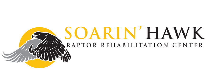 Soarin Hawk Logo