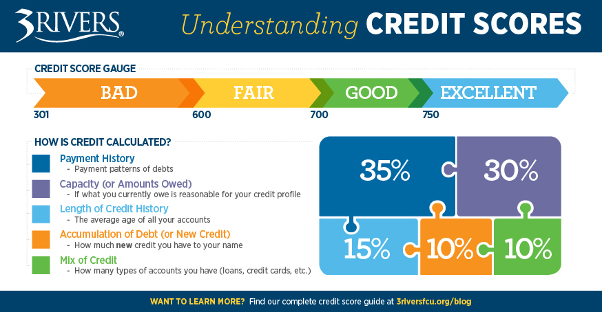 Credit Score Infographic